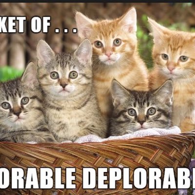 . #TRUMP2020 #NRAMember #ProudDeplorable #2A #KAG2020 #BuildtheWallNow. #draintheswamp Follow Trump supporters. 🚂🇺🇸🇺🇸🇺🇸