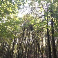 Fiona Garlich (@fiona_garlich) 's Twitter Profile