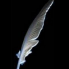 onlineprowrite's profile picture. Tech and business communicator