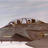 MINISR's profile image