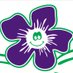 VioletES (@violetelem) Twitter profile photo VioletES (@violetelem) Twitter profile photo