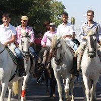 Asoc A. Caballo DB (@acdonbenito) 's Twitter Profile