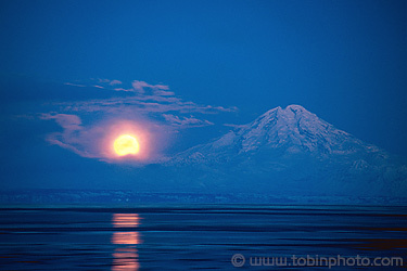 Ibgone's profile picture. 