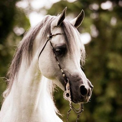 22nana_'s profile image