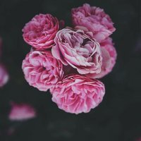 asoom..☁ (@bvytop) Twitter profile photo