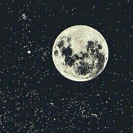 lauralizbethher's profile picture. La magia de la vida.!