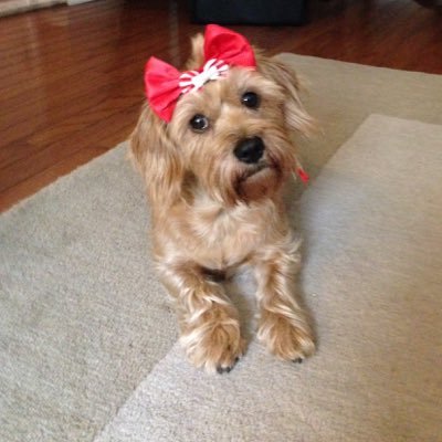 Regina100752's profile picture. Fashion & Beauty Arts & Culture Sports Travel Food & Drink