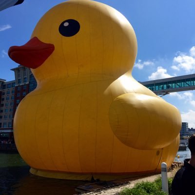 pjstricken's profile picture. Wife. Mom. Musician. Cat owner - rather, she owns me. Collector of rubber ducks, accidentally. Love to read. Love puzzles. Retired. Yaay!