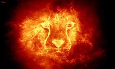 OpasLeo's profile picture. Movies