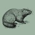 the groundhog (@groundhogmag) Twitter profile photo the groundhog (@groundhogmag) Twitter profile photo