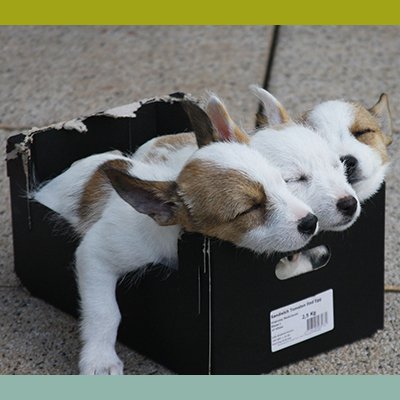 BHappyLiveDream's profile picture. Inspiration, information, imagination & motivation to help support you with happiness & making your dreams come true.