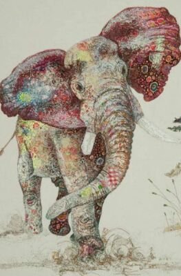 MariianRivera's profile picture. 