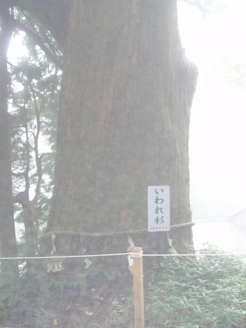 sabinuki777's profile picture. いつも自分の身分不相応の物を欲しがって自滅するかしないかは謎だが日々何でも楽しもうと努力は欠かさない男 　しかし現在老眼が始まり眼鏡を買うか日々悩み迷う毎日を慎ましく過ごす健康優良親爺(￣ ￣；)