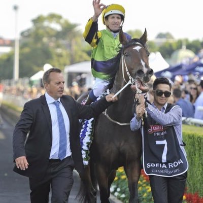 Stephen Marsh Profile