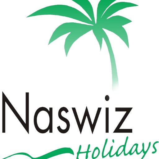 Naswizreviews's profile picture. 