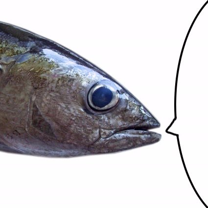 gyokai2016's profile picture. たまの水曜日にボードゲーム会を開催してます。 主に昭和生涯学習センター第一会議室にて。良識ある行動、飲物各自持参、ゴミの持ち帰りにご協力ください٩(ˊᗜˋ*)و　主宰：ぎょにく