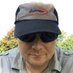 James Wookey (@jameswookey) Twitter profile photo James Wookey (@jameswookey) Twitter profile photo