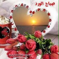 موجب سوداني جاد رياض (@mdmahamud950) 's Twitter Profile
