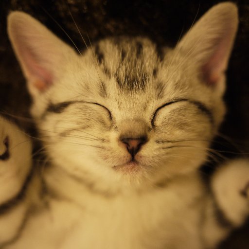 akko6911021's profile picture. 断酒してます。
宜しくお願いします。