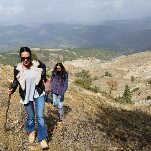 ThefragmentsDoc's profile picture. 