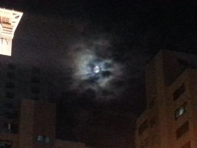 kghks's profile picture. 망적지적