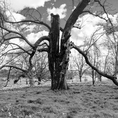 DepressionChro1's profile picture. 