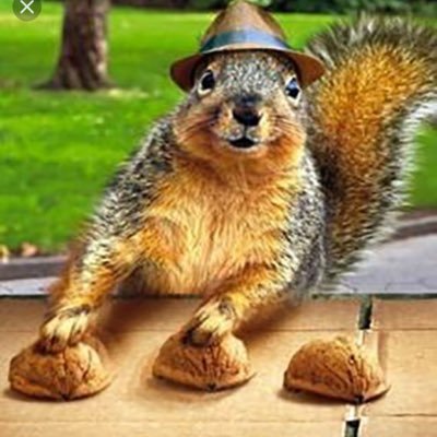 Die hard supporter of @rhiwbinarfc 3rds team. My views are my own, and so are my nuts. Stay away from my nuts. I mean it. loves it.