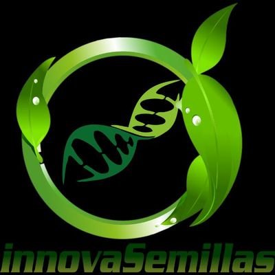 Noticias Política Tecnología Noticias Salud Lo último