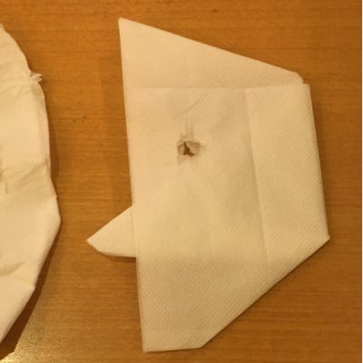 紙ナプキンおばさん Atamarrr Twitter 紙ナプキンおばさん Atamarrr Twitter