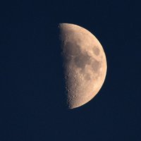 Andy Jones (@andyjonesfoto1) 's Twitter Profile