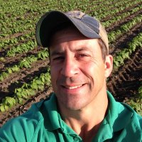 Paul Anez (@paulanezcca) 's Twitter Profile Photo
