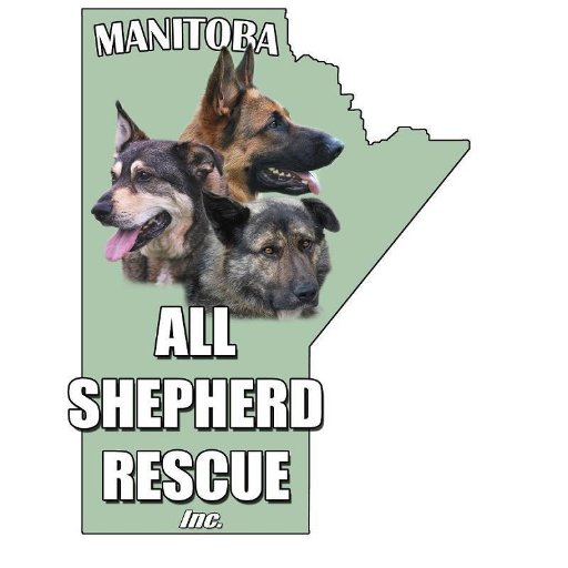 MB Shepherd Rescue