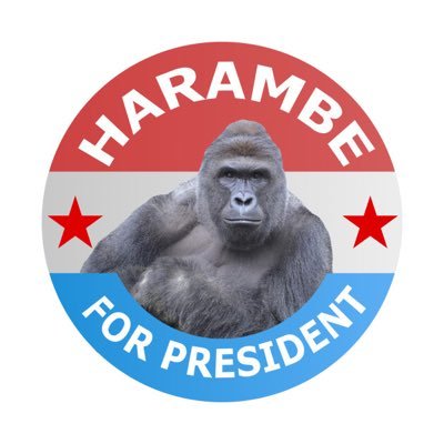 Official Account of Harambe 4 Prez. Run by the Committee To Elect Harambe. #DicksOut2016 #Harambe4Prez