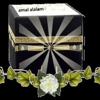 Amro Elbostane (@amro43941939) 's Twitter Profile
