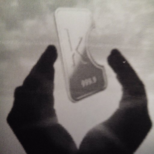 Burrows117Rob's profile picture. 