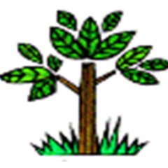 DsejaCodicen's profile picture. 
