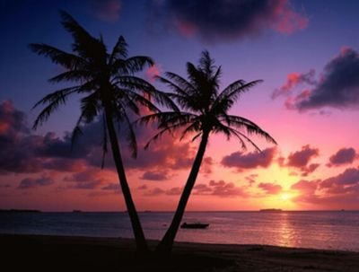 JacklynnSmiths's profile picture. 