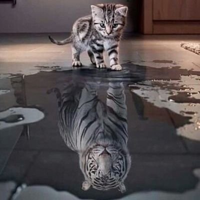 jaimeanrm's profile picture. Navegando en Twitter, con robots a diestra y siniestra.