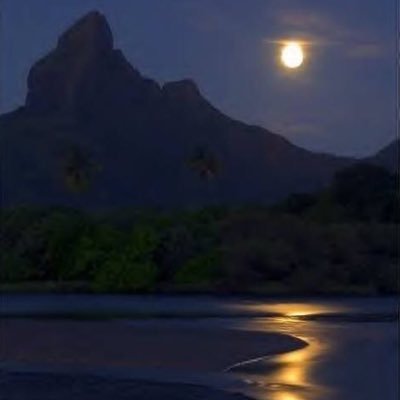 AswedAhmad's profile picture. الحمد للهـ على كل حال في هذه الدنيا ☘️💜.                                      #اقتباسات من التاريخ وأقوال الحكماء ؛المفضله كنز