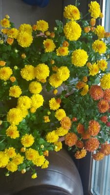 freshmangjj's profile picture. 아름다운 자연을 좋아해요♡