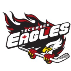 Official Twitter account for the Tecumseh-Shoreline Minor Hockey Association