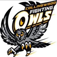 CCI ATHLETICS (@_owlsathletics) 's Twitter Profile