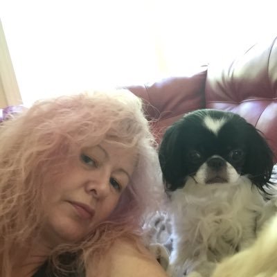 MsHarding20's profile picture. Stepping out of your comfort zone-in teaching and in life=growth. Proud mom, grateful to be a teacher and a learner.