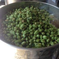 AJ Davidson (@homebrewingmd) 's Twitter Profile