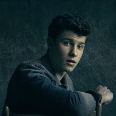 ShawnsEUProject's profile picture. starting a European project for shawns illuminate tour in 2k17!