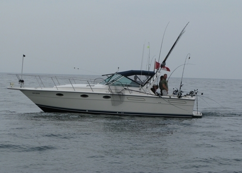 Hot_Reels's profile picture. 