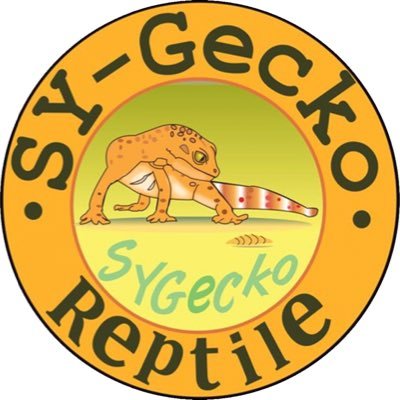 SYReptile's profile picture. Snake 守宫 爬虫類