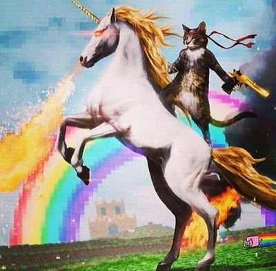 CaptainH4rl0ck's profile picture. Technologie geek, hacking freak, penetration tester, traveler, adventurer