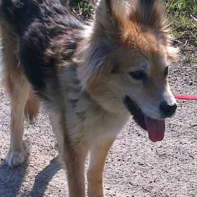 cabi2107's profile picture. Habe niemals Angst etwas neues auszuprobieren , bedenke die Arche wurde von  Leien gebaut die Titanic von Profis .