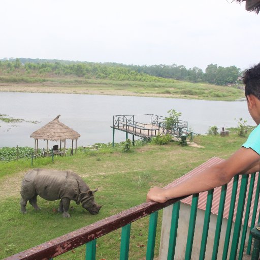 SaurahaChitwan's profile picture. River front hotel  with best sunset view at chitwan national park. 
We do organize wildlife safari too !!!

00977 98550 62199 junglesunset@gmail.com